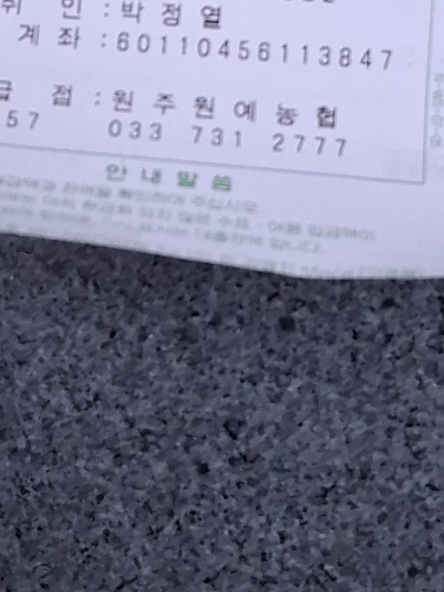 절대악 본당 보좌신부와 청년회 카르텔 1